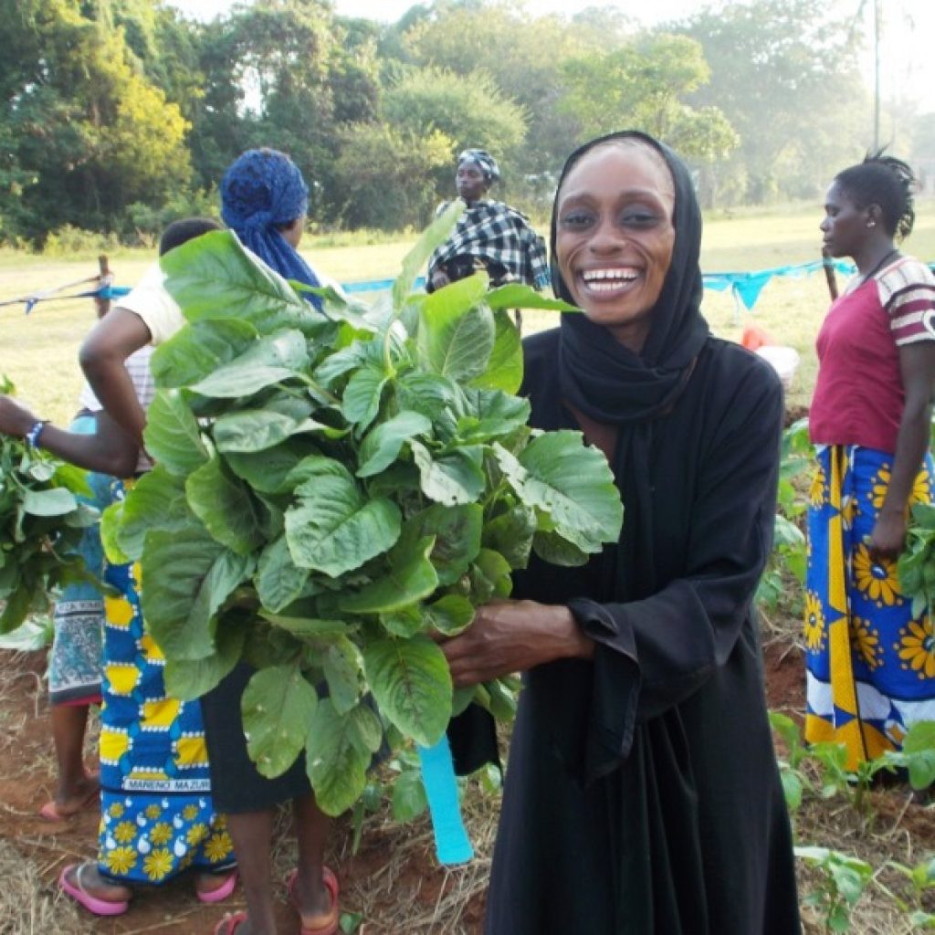 Nieuwsbrief Kenya Care December 2013 3