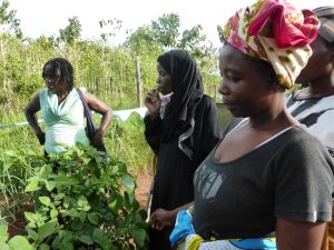 Project Groententuin 3 | Stichting Kenya Care